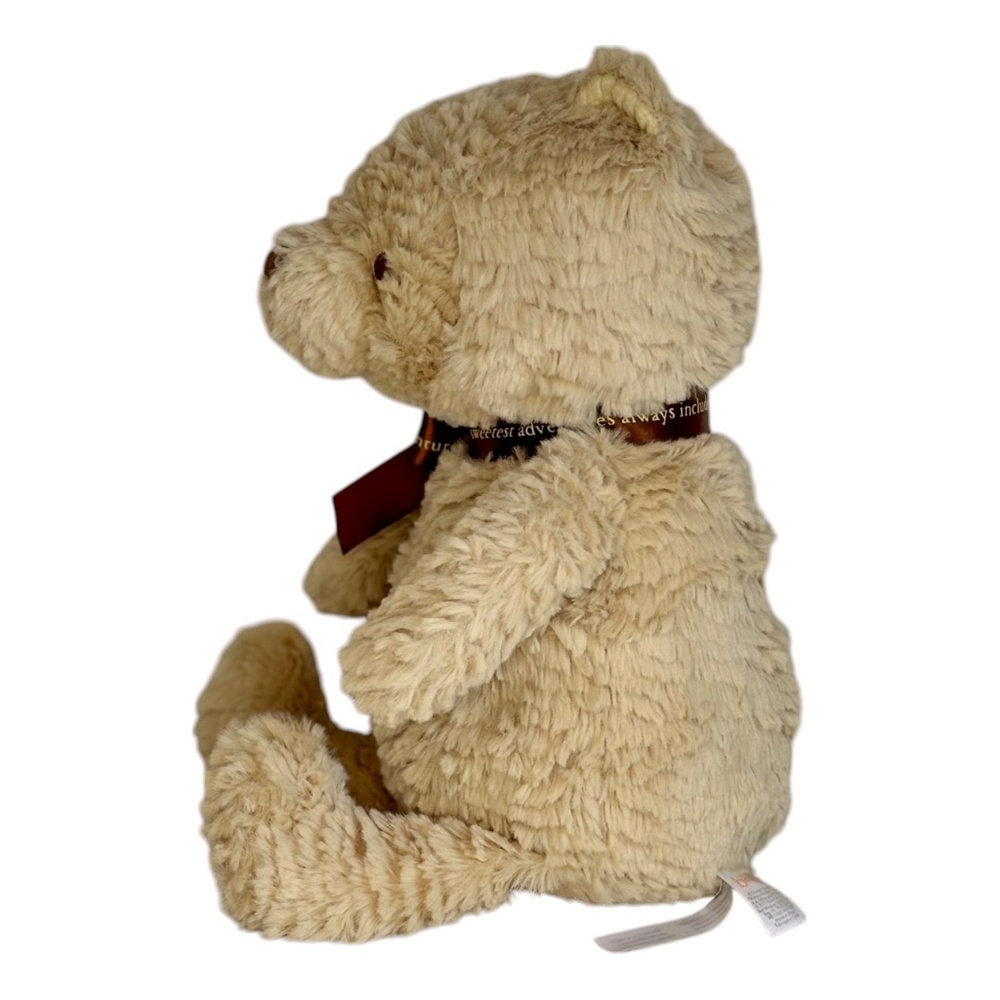 Disney Baby Classic Winnie The Pooh Plush Stuffed Animal Kids Preferred 12 Inch - Picture 5 of 9